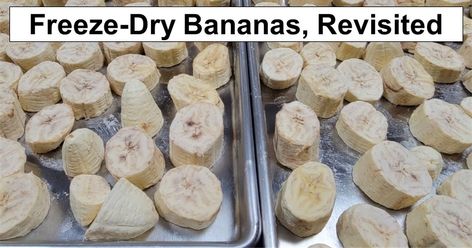 Freeze-Dried Bananas, Revisited – reThinkSurvival.com Freeze Dried Bananas, Pizza Slicer, Banana Uses, Long Term Food Storage, Dried Bananas, Mandolin Slicer, Banana Slice, Freeze Dried, Freeze Drying