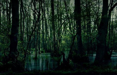 Spooky swamp Scary Swamp, Spooky Swamp, River Monsters, Design Collage, Cultural Capital, Modern Fantasy, Rural Area, High Resolution Picture, Pictures Images