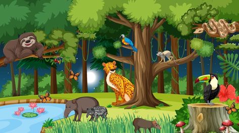 How To Draw Forest Animals, Forest Drawing With Animals, Wild Animals Drawing, Jungle Images, Lisa Dance, Forest Cartoon, Bird In A Cage, Forest Drawing, Forest Habitat