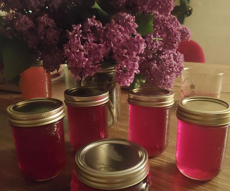 Lilac Jelly, Canning Food Preservation, Canning Tips, Jelly Recipe, Rainbow Sherbet, Food Substitutions, Western New York, Jelly Recipes, Jams & Jellies