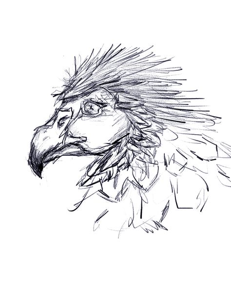 vulture sketch practice Vulture Drawing Sketches, Vulture Sketch, Vulture Drawing, Artsy Projects, Sketch Practice, Drawing Sketches, Anatomy, Sketch, Humanoid Sketch