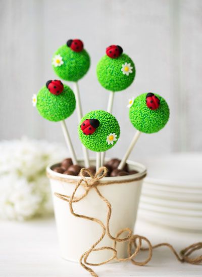 Ladybird-cake-pops - Inspiration Ladybug Cake Pops, Ladybug Cakes, Savory Cakes, Ladybug Cake, Cake Ball, Cake Pop Decorating, Ladybug Birthday Party, Torte Cupcake, Ladybug Birthday