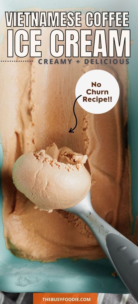 Ice Cream With Coconut Cream, No Churn Ice Cream Recipes, Olive Oil Ice Cream, Thai Iced Coffee, Unique Ice Cream Flavors, Coffee Ice Cream Recipe, Chocolate Frosty, Neapolitan Ice Cream, Ice Cream Ingredients