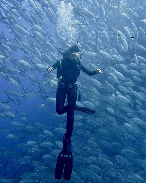 Ski Diving, Scuba Diving Pictures, Great Blue Hole, Scuba Diving Photography, Cave Diving, Scuba Girl, Marine Biology, Scuba Diver, Ocean Lover