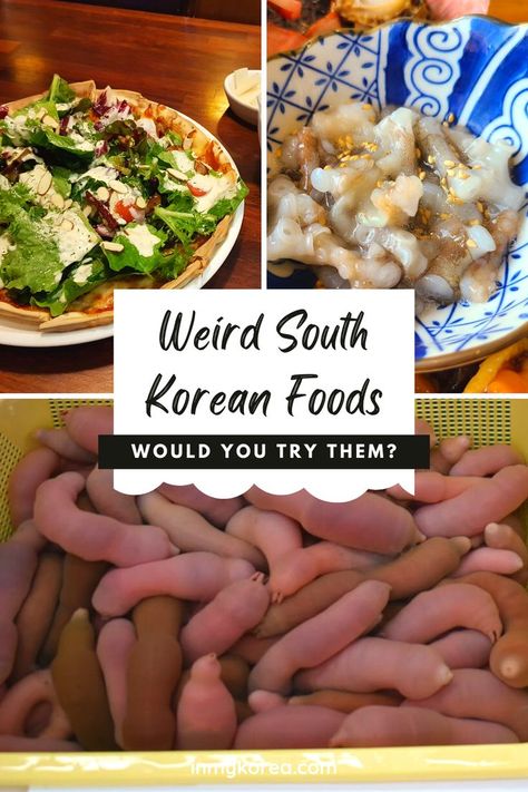 Korea has a rich library of culinary delights that are sure to make your mouth water and leave you well-stuffed. From fiery BBQ to finger licking KFC (Korean fried chicken), fresh seafood, and ubiquitous kimchi. There are so many wonderful Korean dishes waiting for you. However, there are also some weird Korean foods that you might not be so familiar with. #koreanfood #weirdfood #weirdkorea #koreanculture #koreandishes North Korean Food, Korean Finger Food, Korean Dishes Traditional, South Korean Recipes, South Korean Food, Korean Fried Chicken, Korean Dishes, Korea Travel, Weird Food