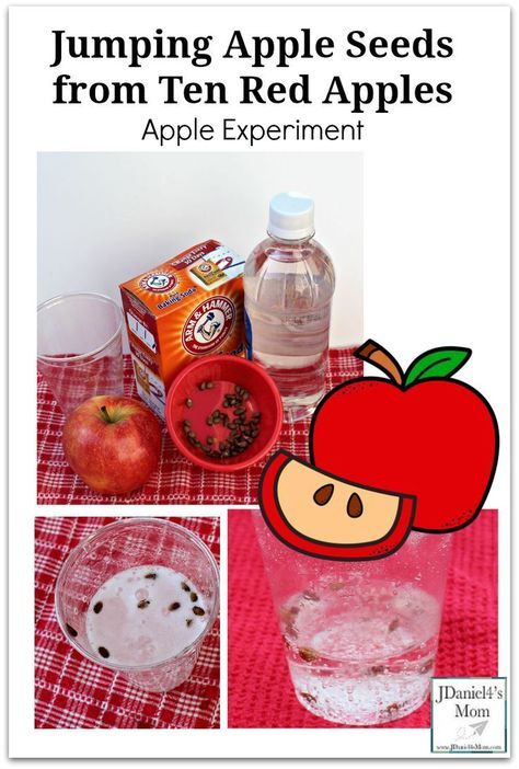 Jumping Apple Seeds from Ten Red Apples Apple Experiments For Kindergarten, Apple Cider Dramatic Play, Apple Experiments For Kids, Apple Experiment, Apple Lesson Plans, Apple Science Experiments, Preschool Apple Activities, Apple Week, Preschool Apple Theme