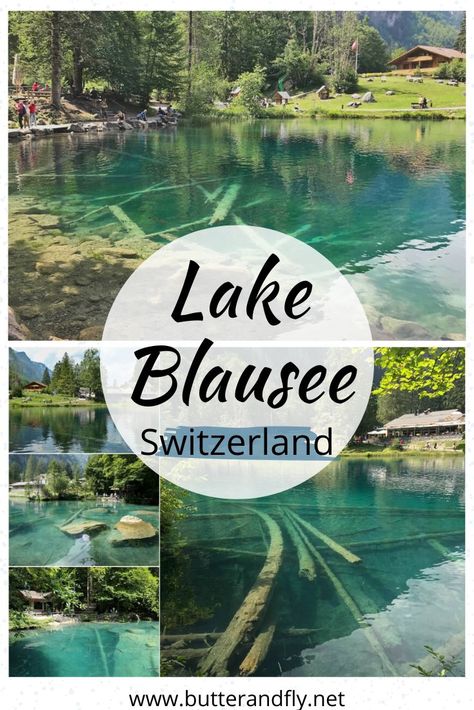 Lake Blausee Switzerland, Switzerland Travel Summer, Blausee Switzerland, Trout Farm, Visit Switzerland, Switzerland Travel, Natural Park, Europe Travel Guide, Europe Travel Tips