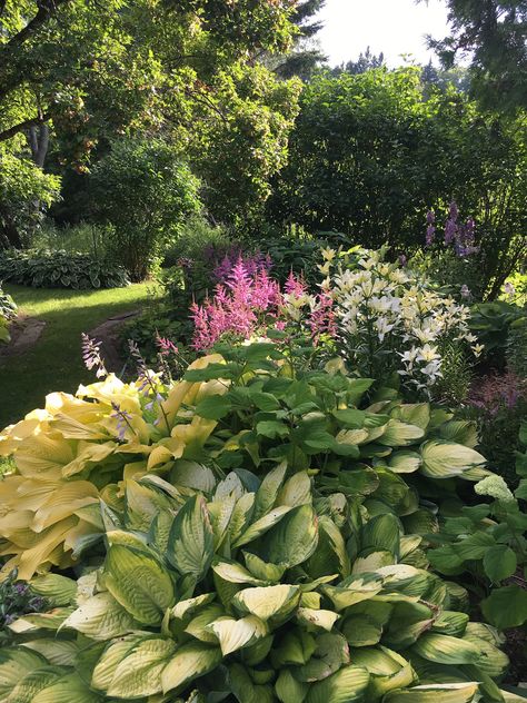 Hostas Garden Ideas, Hostas Garden, Circle Garden, Gardening Photos, Shade Landscaping, Fine Gardening Magazine, Garden 2023, Bog Garden, Hosta Gardens