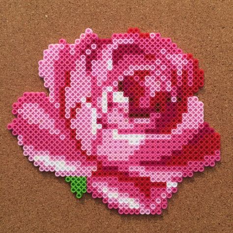 Rose flower  perler beads by Tsubasa Yamashita                                                                                                                                                      More Hama Beads Patterns Flower, Perler Beads Flower Pattern, Rose Perler Bead Pattern, Rose Perler Beads, Perler Bead Flower Patterns, Flower Hama Beads, Perler Beads Flower, Hama Beads Flower, Flower Perler Bead Patterns