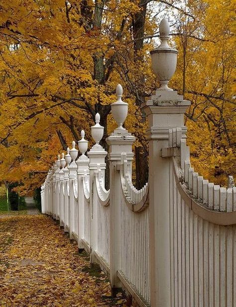 Victorian Fence Ideas, Victorian House Fence, Vintage Fence Ideas, Gothic Fence Ideas, Victorian Fences And Gates, Scalloped Fence, Victorian Fence, Victorian Landscaping, Colonial Fence