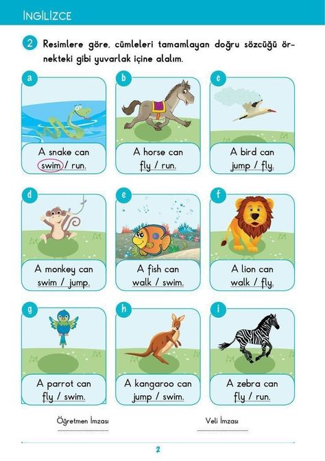 Ingles Kids, English Grammar For Kids, Grammar For Kids, English Activities For Kids, Animal Action, Learning English For Kids, English Grammar Worksheets, English Worksheets For Kids, Grammar Activities