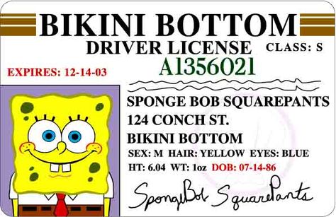 Spongebob boating license. Ever realize that he has gothis " boating. License " in a lot of his shows?!? Spongebob Drivers Lisence, Spongebob License Card, What Are They Selling Spongebob, Spongebob Driving License, Spongebob Driving, Fast Driving, Boating License, Turning Thirty, Spongebob Birthday Party