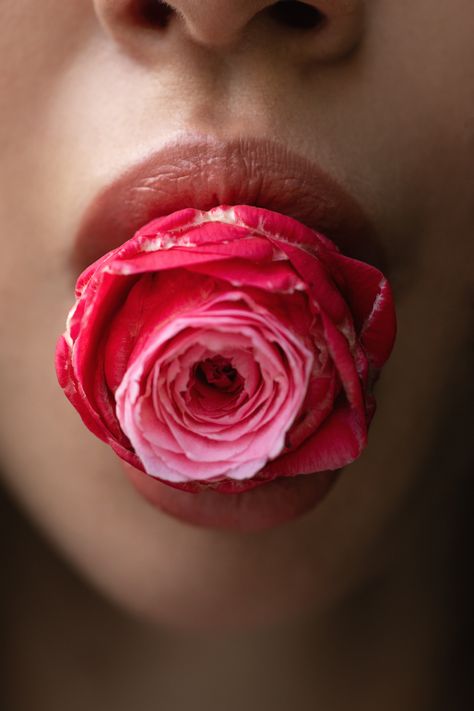 Bocca, rosa Mouth Doodle, Flower In Mouth, Rose In Mouth, Mouth Reference, Tea Book, Magic Energy, Tongue Tie, Rose Art, Art References