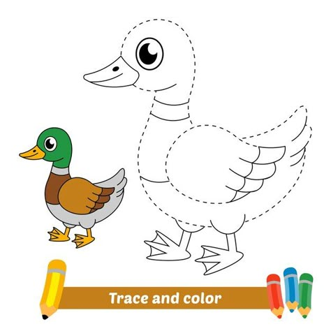 Trace and color for kids, duck vector | Premium Vector #Freepik #vector #school #baby #book #kids Drawing Trace, Happy Birthday Friend Funny, Duck Coloring Pages, Duck Vector, Animal Pictures For Kids, Trace And Color, Color By Number Printable, Balloon Bouquet Diy, English Learning Books