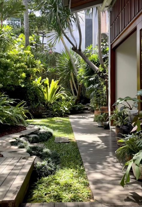 Northern Landscaping Ideas, Tropical Landscape Design, Tropical Garden Design, Jungle Gardens, Tropical Backyard, Courtyard Gardens Design, Fall Garden Vegetables, Recycled Garden, Home Decor Living Room