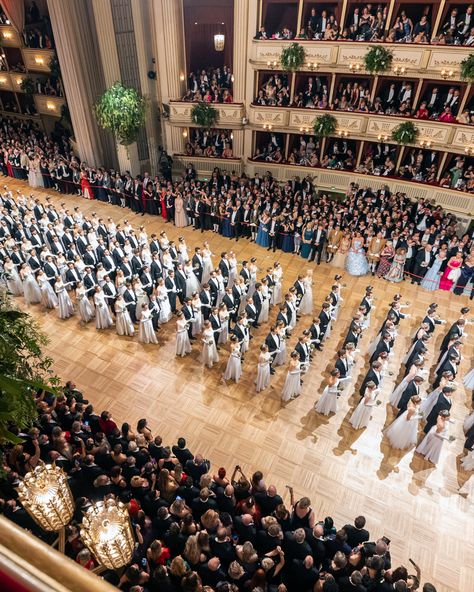 Swarovski once again illuminated the Vienna Opera Ball, uniting heritage and modernity in an evening of pure wonder. #Swarovski Viennese Ball, Vienna Ball, Vienna Opera Ball, Pure Wonder, Money Aesthetics, Swarovski Tiara, Ball Aesthetic, Debutante Ball, Sparkling Crystal