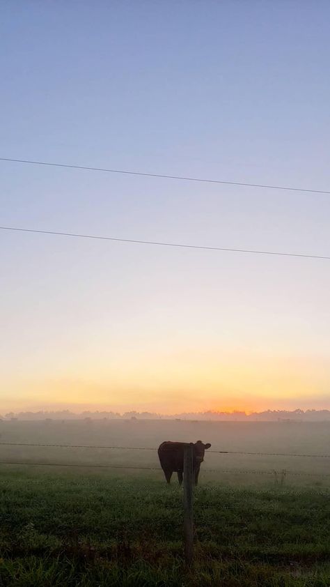 Spring Morning Aesthetic, Morning Vibes Aesthetic, Mountain Morning Aesthetic, Country Morning Aesthetic, Misty Morning, Misty Morning Aesthetic, Rural Pennsylvania Aesthetic, Early Morning Fog Aesthetic, Foggy Aesthetic Mountain