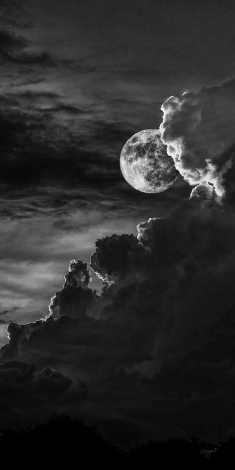 🌕 Moonlight Elegance 🌌 - Explore the beauty of the night sky in this enchanting black and white photograph. The moon's soft glow weaves through billowy clouds, creating a mesmerizing dance of light and shadow. Let the moon's mystique capture your imagination. #MoonlightMagic #NightSky #Photography Night Sky Black And White, Moon Black And White, White Figures, Shop Photography, Moonlit Night, Moon Clouds, Ronaldo Wallpapers, Black Sky, Black And White Photograph