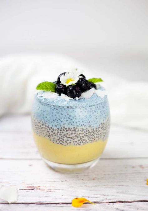 This mango chia pudding with coconut and blueberries is fresh, creamy, fruity and fun to make and eat! This makes a fresh and tasty paleo breakfast treat or a healthy paleo dessert. Dairy free & sugar free. #paleo #chiaseeds #chiapudding #vegan #glutenfreebreakfast #dairyfree #glutenfree #veganbreakfast #dairyfreebreakfast #mango #blueberries #smoothie #paleobreakfast #lowcarb #lowcarbrecipes #paleorecipes Dessert Dairy Free, Smoothie Dessert, Healthy Paleo Desserts, Mango Chia Pudding, Chocolate Peanut Butter Desserts, Paleo Recipes Breakfast, Dairy Free Breakfasts, Paleo Recipes Easy, Blueberries Smoothie