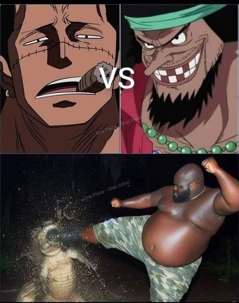 One Piece Memes Funny, Memes One Piece, Meme One Piece, Crocodile One Piece, One Piece Crossover, One Piece Oc, One Piece Cartoon, One Piece Meme, One Piece Funny