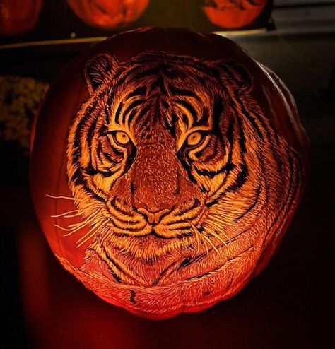 Pumpkin Contest, Carved Pumpkins, Pumpkin Carving Ideas, Carving Ideas, Jack O Lantern, Pumpkin Carving, Pumpkins, Lion Sculpture, Carving