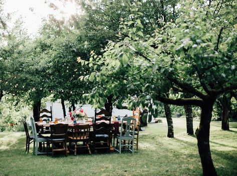 Host a garden to table dinner like this one in our orchard. Fresh organic garden food on a farmhouse table. Let me help host a fresh meal for your community. #organicfood #cleaneating #dinnerparty #freshmeals #gardentotablemeals Holiday Meal Planning, Garden To Table, Orchard Design, Fresh Meal, Hosting Tips, Fancy Decor, Party Hosting, Empty Wine Bottles, Table Dinner