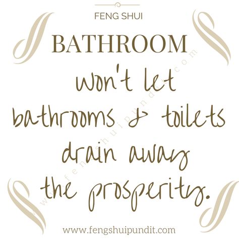 13 Feng Shui Bathroom Tips You MUST APPLY Immediately Bathroom Feng Shui, Feng Shui Mirrors, Feng Shui Bathroom, Feng Shui Colors, Feng Shui Colours, How To Feng Shui Your Home, Toilet Drain, Feng Shui Art, Bathroom Tips