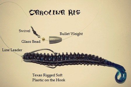 carolina rig illustration Fishing Tricks, Carolina Rig, Drop Shot Rig, Fishing Basics, Bass Fishing Lures, Bass Fishing Tips, Pike Fishing, Fishing Rigs, Crappie Fishing