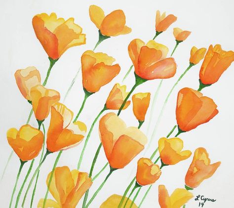 Watercolor Orange Flowers, Orange Flowers Painting, Paint Poppies, Swadhisthana Chakra, Simple Composition, Beautiful Field, Orange Poppies, California Poppies, Fleur Orange