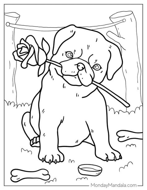 Pug Coloring Page, Puppy Coloring Pages, Dog Coloring Page, Puffy Paint, Pug Puppies, Organization Printables, Cute Pugs, Pug Dog, Baby Dogs