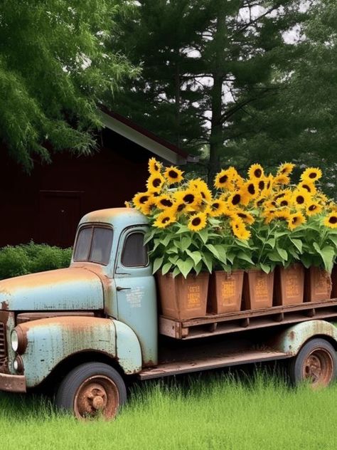 Vintage Truck With Flowers, Old Truck Flower Bed Garden Ideas, Old Truck Flower Bed, Sunflower Garden Ideas, Dark Building, Truck Planter, Sunflowers Garden, Bed Layout, Yard Flowers