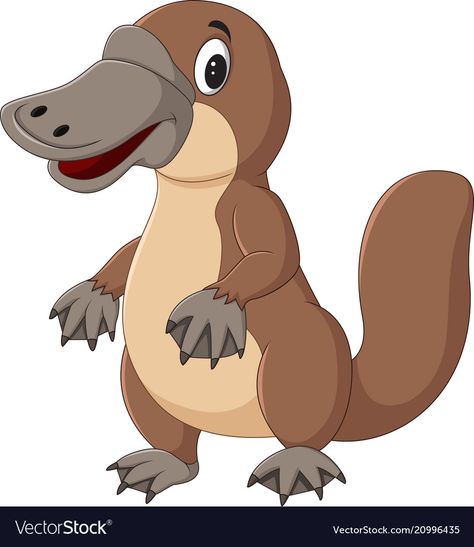 Cartoon platypus isolated on white background Vector Image Cartoon Platypus, Male Cartoon Characters, Australia Animals, Line Art Vector, Kids Vector, Animal Groups, Rare Animals, Platypus, Australian Animals