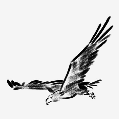 Eagle Soaring Drawing, Flying Eagle Illustration, Eagle Illustration Design, Eagle Drawing Sketches, Eagle Drawing Simple, Eagle Flying Drawing, Flying Eagle Drawing, Eagle Art Draw, Eagle Doodle