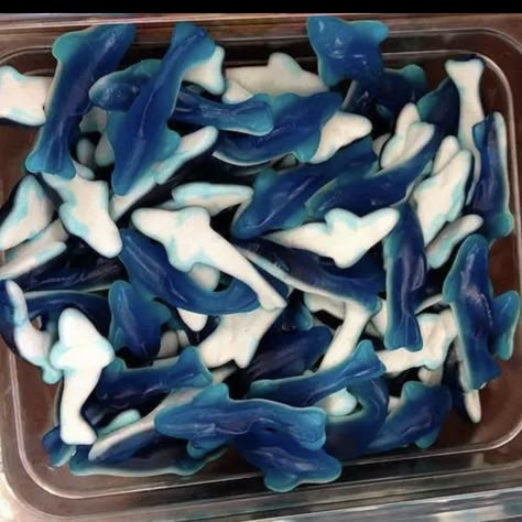 Shark Gummies Aesthetic, Gummy Sharks Aesthetic, Shark Gummies, Shark Candy, Gummy Shark, Shark Food, Gummy Sharks, Gummy Fish, Blue Shark