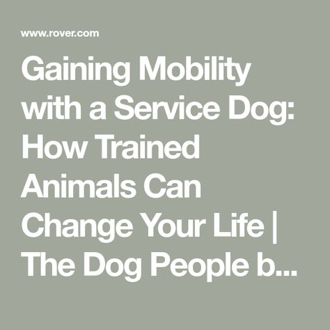 Gaining Mobility with a Service Dog: How Trained Animals Can Change Your Life | The Dog People by Rover.com Mobility Service Dog, Service Dog Training, Genetic Disorders, Dog People, Service Dogs, Chronic Pain, You Changed, Dog Training, Life Changes