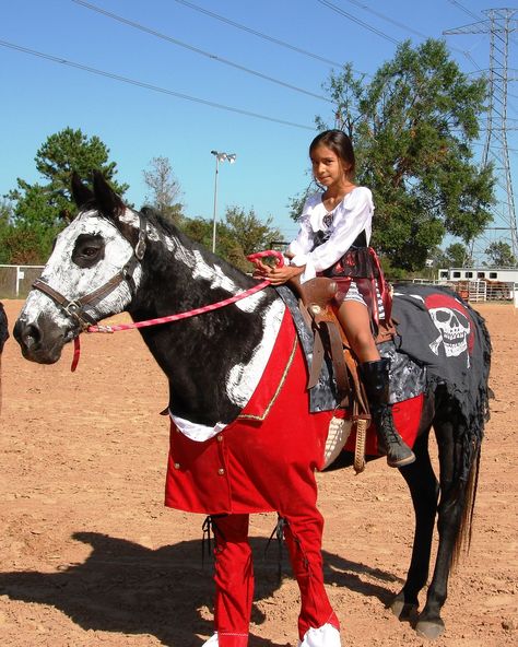 Horse And Rider Costumes, Horse Halloween Ideas, Horse Halloween Costumes, Horse Halloween, Halloween Horse, Horse Costume, Ranch Riding, Diy Kid Activities, Cute Horse Pictures