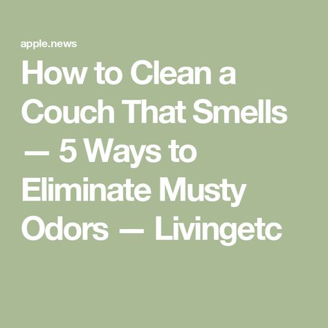 How to Clean a Couch That Smells — 5 Ways to Eliminate Musty Odors — Livingetc How To Remove Musty Smell From Furniture, How To Get Musty Smell Out Of Furniture, Smelly Couch Remedy, Pet Smell Out Of Couch, How To Deodorize A Couch, Clean Couch Fabric Smell, Deodorize Couch, Couch Cleaning Solution, Odor Eliminator Diy