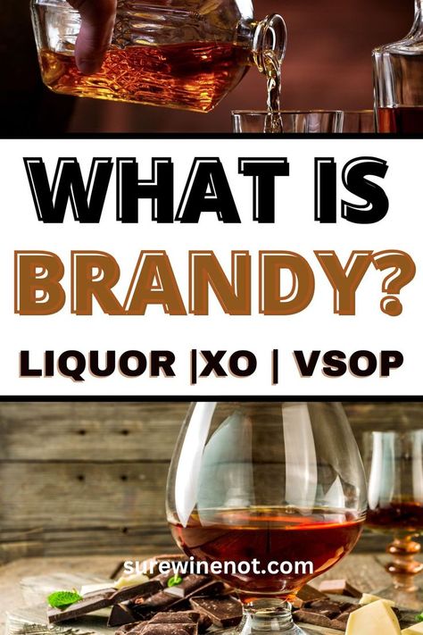 What is Brandy Liquor: A Guide to Types & Styles XO, VSOP Brandy Liquor, 15th Century, Spirit Guides, Explore The World, Mixology, Party Planner, 16th Century, Favorite Drinks, Liqueur