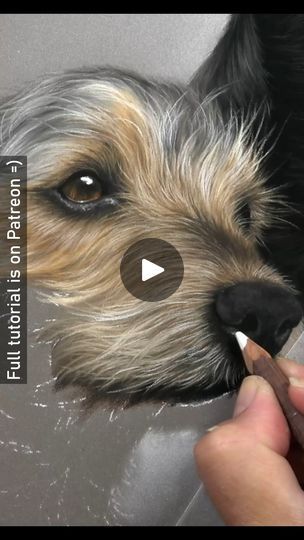 Drawing Fur, How To Draw Fur, Bright Highlights, Drawing Realistic, Pastel Pencils, Pastel Drawing, Realistic Drawings, Watercolor Animals, Wildlife Art