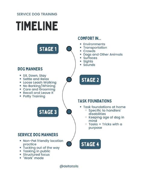 The most important stage of service dog training is the first... The dogs learn to be calm, confident, and resilient dogs, regardless of their jobs. They learn to be comfortable anywhere, to react to new things with curiosity or neutrality, and follow cues that keep them safe and respectable members of the community. This is the stage I see most folks rush through. Unfortunately, most regret that after a few months of struggling during adolescence and adulthood. ANY dog can benefit by wo... Service Dog Commands, Service Dog Training Tips, Service Dog Training Checklist, Loose Leash Walking, Psychiatric Service Dog, Service Dog Training, Dogs Training, Be Calm, Train Service