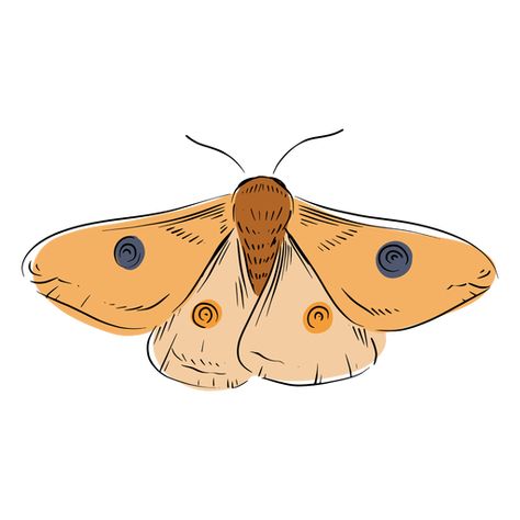 Moth illustration #AD , #Ad, #sponsored, #illustration, #Moth Moth Drawing Wallpaper, Moths Drawing Simple, Aesthetic Moth Drawing, Moth Cartoon Drawing, Easy Moth Painting, Simple Moth Painting, Moth Drawing Cute, Easy Moth Drawing, Moth Drawing Reference