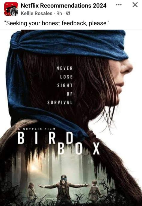 Bird Box Movie, A Serbian Film, Suspense Movies, Movies Posters, Bird Box, Best Horror Movies, Thriller Movie, Horror Posters, Movie Covers