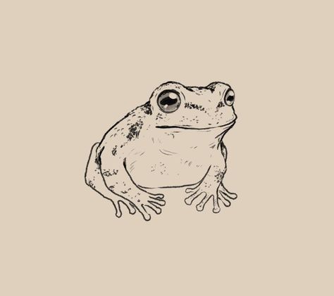 Black And White Frog Tattoo, Frog Tattoo Drawing, Frog Drawing Sketches, Frogs Tattoo, Toad Drawing, Frog Tattoo Ideas, Toad Tattoo, Tree Frog Tattoos, Frog Sketch