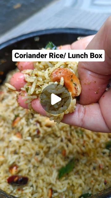 Tasty Indian Recipez on Instagram: "Lunch Box Recipe Coriander Rice 👌

#lunchboxrecipe 
#recipereeld" Lunch Recipes Indian Rice, Coriander Rice Recipe, Lunch Box Recipes Indian, Quick Lunch Recipes Indian, Rice Recipes For Lunch, Coriander Rice, Indian Lunch Box, Lunch Box Recipe, Lunch Recipes Indian