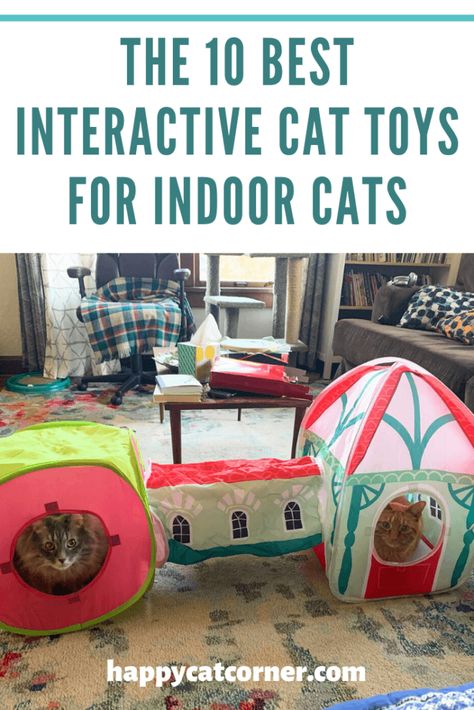 The 10 Best Interactive Cat Toys for Indoor Cats | Happy Cat Corner Cat Interactive Toys, Cat Entertainment Indoor, Diy Cat Toys Interactive, Best Kitten Toys, Cat Tunnel Indoor, Ferrets Care, Cat Room Decor, Best Cat Toys, Cat Corner