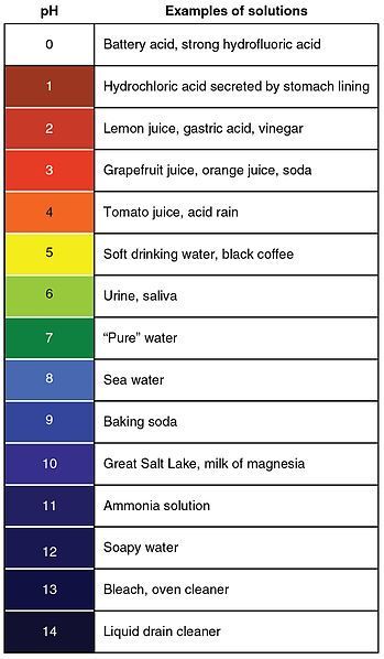 Ph Chart, Acids Bases And Salts, Ph Scale, Teaching Middle School Science, Chemistry Basics, Acid Base Balance, Chemistry Education, Chemistry Classroom, Chemistry Worksheets