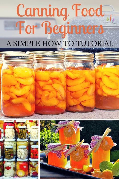 How To Can For Beginners, How To Preserve Fruits And Vegetables, Cake Equipment, Food For Beginners, Farmers Life, Garden For Beginners, Easy Canning, Canning Peaches, Canning 101