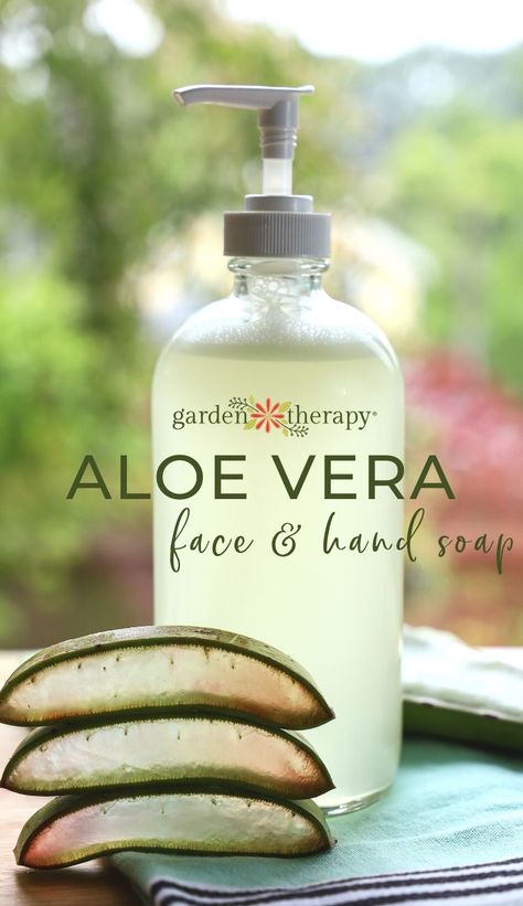 How to Make Aloe Vera Soap (Skin-Soothing Recipe) Aloe Vera Soap, Aloe Vera For Face, Garden Therapy, Brown Spots Removal, Aloe Gel, Health Nutrition, Good Health Tips, Soap Recipes, Healthy Nutrition