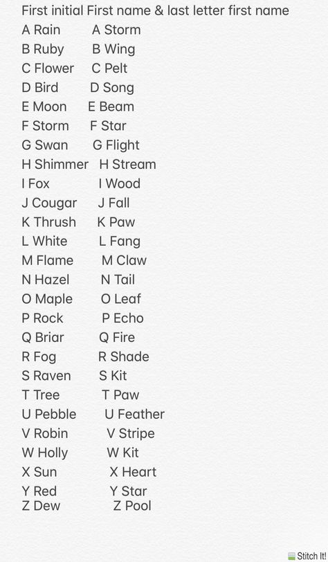 Fantasy Animals Names, Warriors Name Generator, Warrior Cats Party Ideas, Mlp Name Generator, Warrior Cats Oc Maker, Warrior Cat Name Ideas, Warrior Cats Name Ideas, Warrior Name Generator, Warrior Cats Oc Ideas