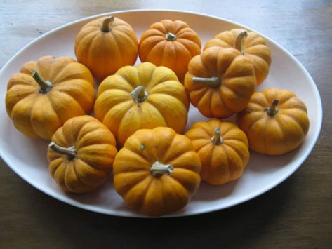 What To Do With All Those Mini Pumpkins… Hint: It Involves Your Oven! | Kitchn How To Cook Mini Pumpkins, Veggies Recipes, Vegan Wine, Cooking Pumpkin, Cold Weather Food, White Platter, Paleo Pumpkin, Inflammatory Diet, Simple Centerpieces